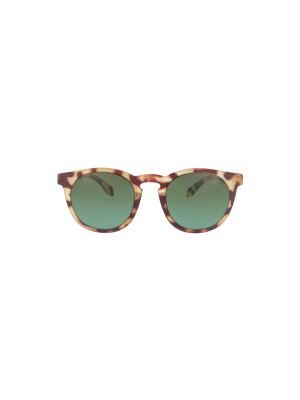 Wynwood C01 Polarized