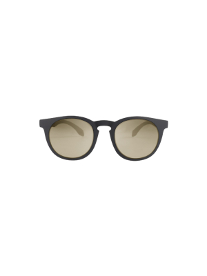 Wynwood C10 Polarized