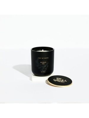 Light of Sakina Ruhi Elysian Fig