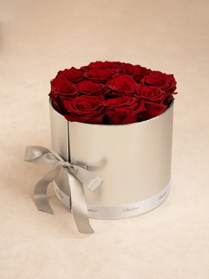 Moonlight Glow Gift Box