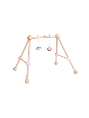 Plan Toys Play Gym