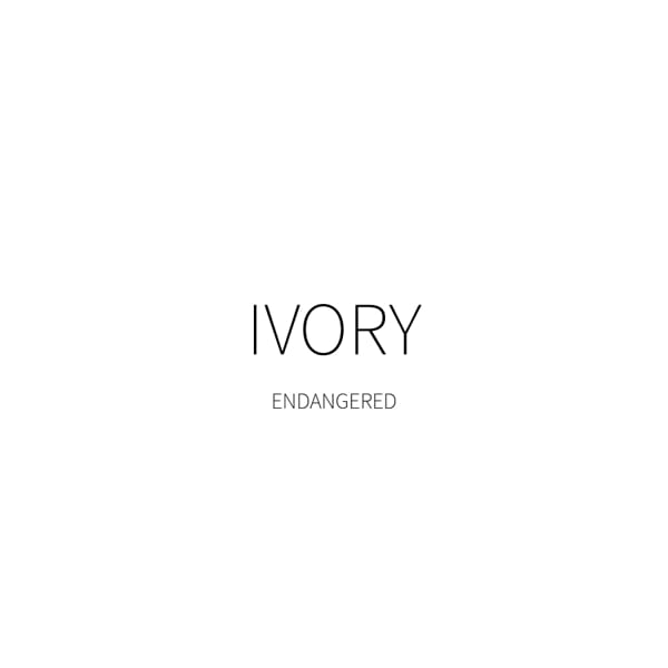 _IVORY