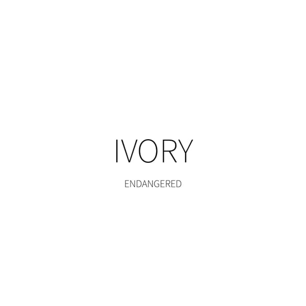 _IVORY