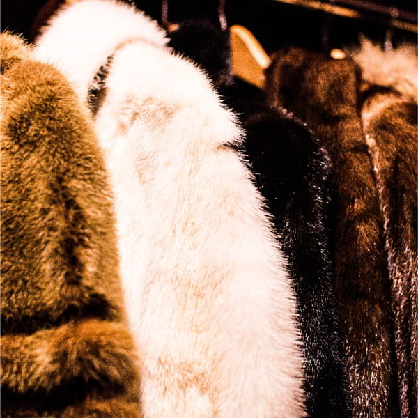 _TEXTILES_FUR