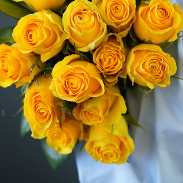 _YELLOW_ROSE